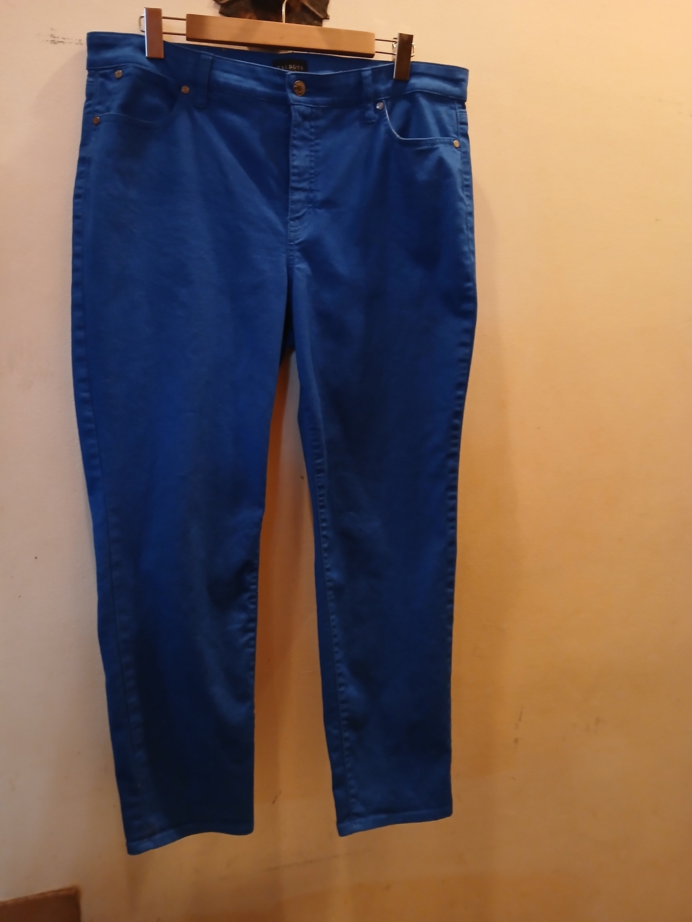 Talbots Electric Blue Skinny Jeans